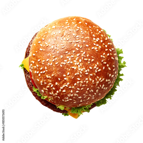 Burger top view png