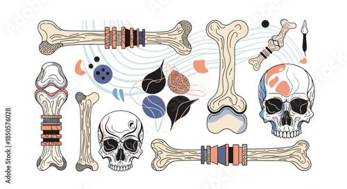 Stylized illustration of human and animal bones and skulls, combined with abstract shapes and patterns on a white background.