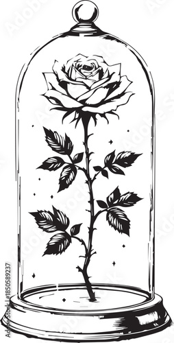 Black and white vector illustration of blooming rose enclosed in glass dome with circular base