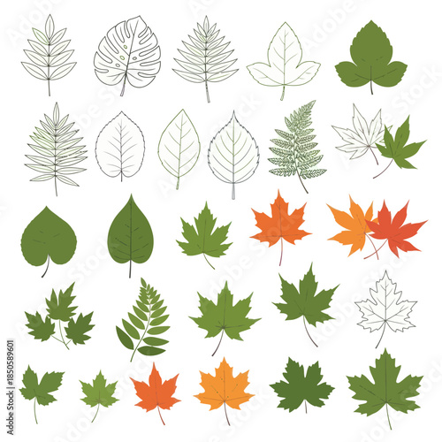Collection of Diverse Leaf Illustrations A Botanical Variety.