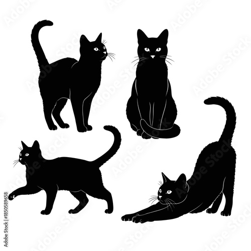 Collection of Elegant Black Cats in Various Poses.