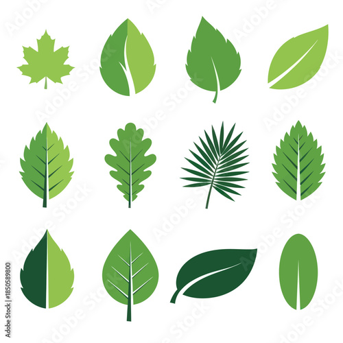 Collection of Green Leaf Illustrations for Nature and Environmental Designs.