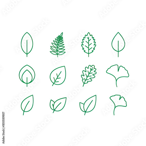 Collection of Green Leaf Line Art Illustrations on White Background.
