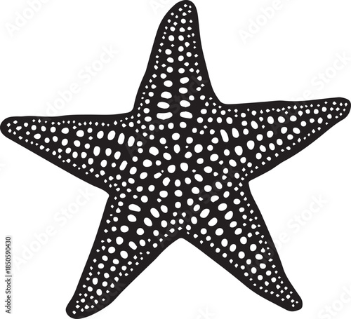 Black and white vector illustration of starfish with five arms and dotted symmetrical surface texture