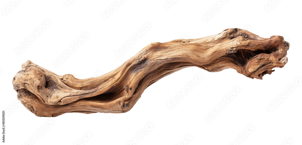 Obraz premium Weathered driftwood with dramatic twisted shape and natural wood grain, isolated on transparent background