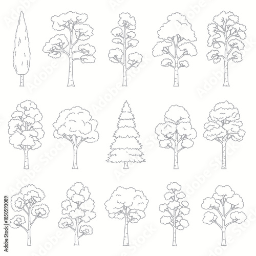 Collection of Tree Outlines for Architectural and Landscape Design.