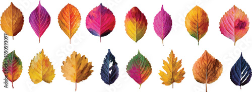 colorful autumn leaves