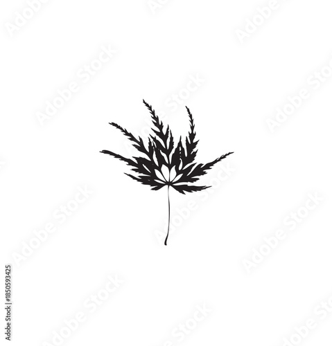 Wallpaper Mural Black Deeply Lobed Leaf Silhouette Icon on Isolated White Background Torontodigital.ca