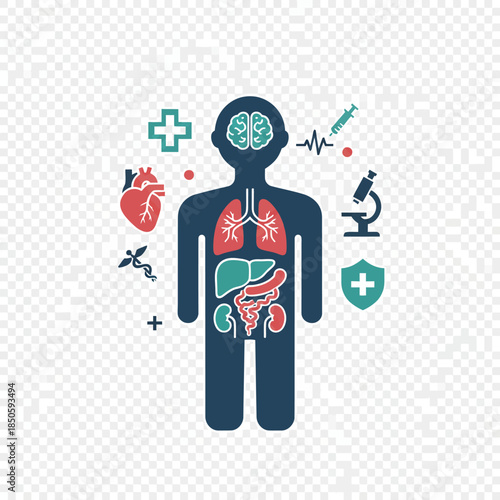 Human body anatomy and health icons representing medical science and wellness.