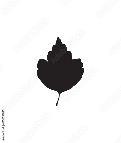 Broad irregularly lobed single leaf silhouette with short stem vector on isolated white background.