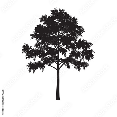 A black silhouette of a tree with lush foliage