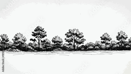 Minimalist forest landscape silhouette with row of pine trees on plain background
