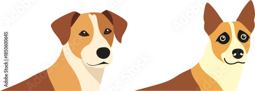 A charming duo of illustrated dogs with expressive faces, featuring warm brown and white fur, peeking into the frame on a clean white background, ideal for pet-themed designs