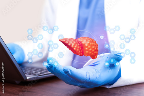 Obraz na plátně A hepatologist reviews liver health data on a laptop