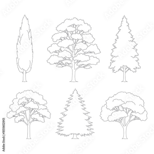 Line Art Tree Collection Outlines of Various Tree Types.