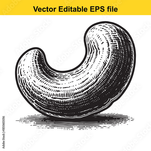  vector illustration of a single black cashew nut on white background