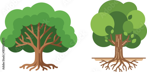 Two stylized illustrations of healthy trees, one with dense foliage and prominent roots, the other with fuller, rounder leaves and visible root system