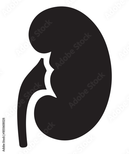 A stylized black silhouette icon representing a human kidney organ for medical purposes