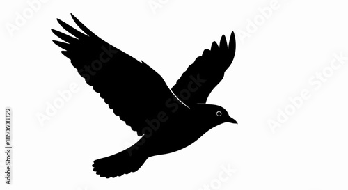 Silhouette of a black bird in flight with wings spread wide.