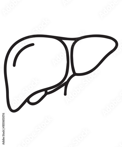 Simplified line art illustration of the human liver, a vital organ for medical and health concepts.