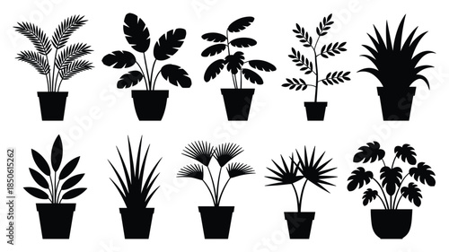 Potted plant silhouettes, black foliage icons, botanical vector set, houseplant shapes, leaf patterns, indoor greenery, decorative design
