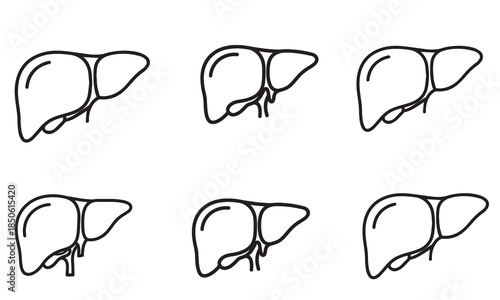 A collection of six simple black outline icons representing the human liver organ