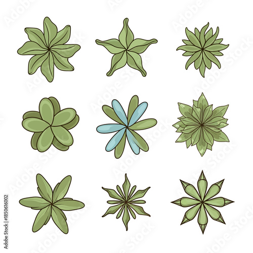 Collection of green leafy plant flowers.