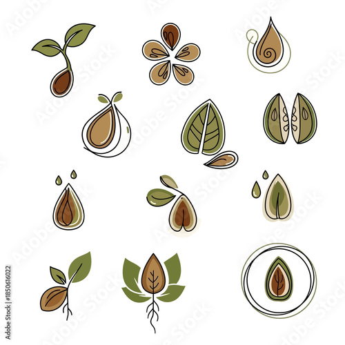 Collection of seed illustrations sprouting.