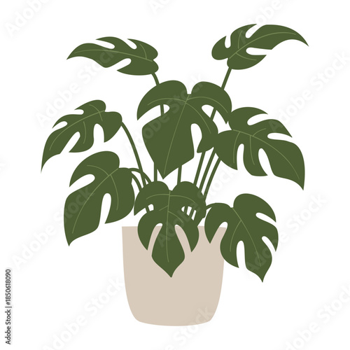 Monstera deliciosa swiss cheese plant in a pot vector illustration for indoor home decor botanical gardening and houseplant care content