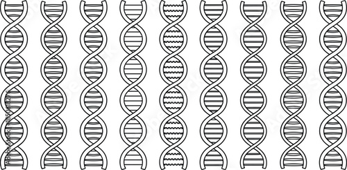 Black and white D N A helix strands genetic science