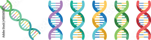 Colorful D N A Helix science biology