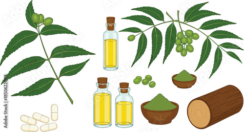 Neem tree product illustration, herbal medicine concept, green leaves, neem oil bottles, capsules, powder, organic remedy, Ayurvedic healing