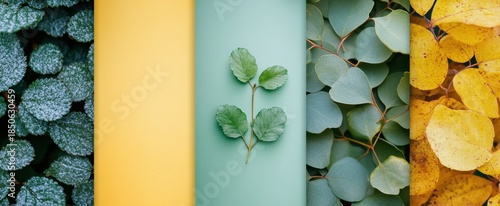 Vibrant Nature Collage Featuring Various Plant Textures and Colors