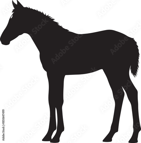 Cute Foal Silhouette, Baby hourse icon, Foal silhouette