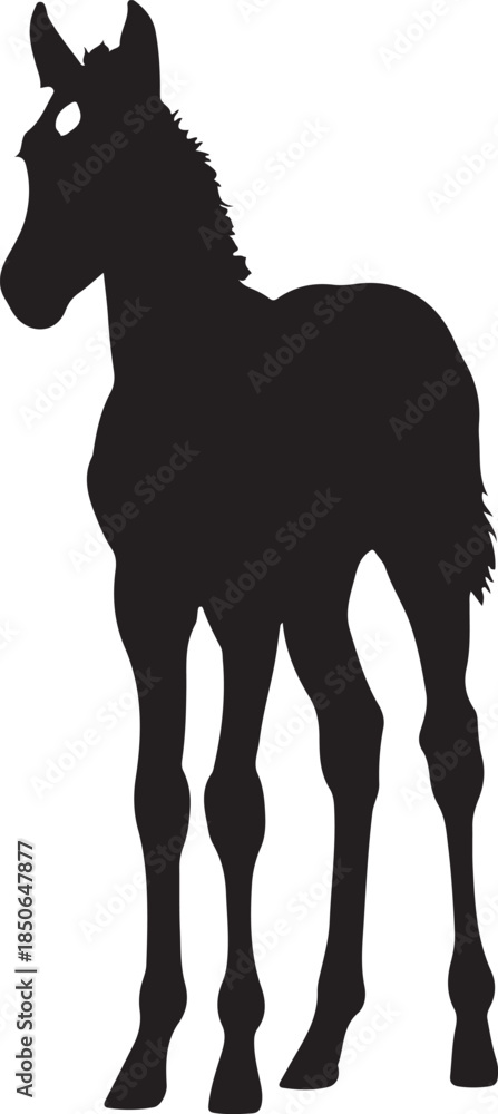 Obraz premium Cute Foal Silhouette, Baby hourse icon, Foal silhouette