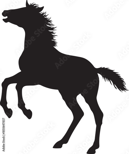 Cute Foal Silhouette, Baby hourse icon, Foal silhouette