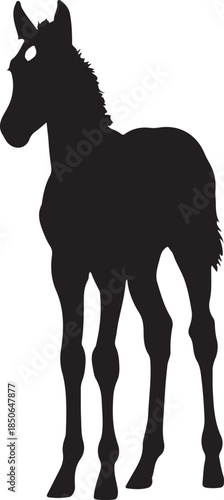 Cute Foal Silhouette, Baby hourse icon, Foal silhouette
