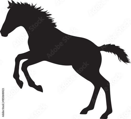 Cute Foal Silhouette, Baby hourse icon, Foal silhouette