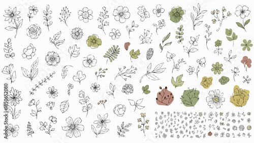 Collection of Hand Drawn Botanical Illustrations and Watercolor Accents.