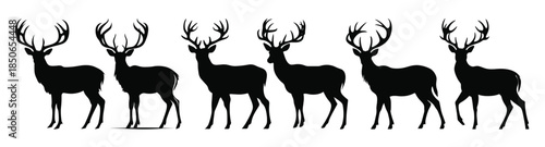 deer silhouette black vector set deer antler silhouettes