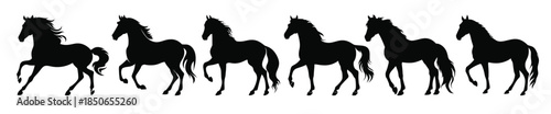 horses silhouettes set horse silhouette black clipart bundle