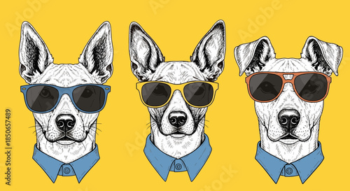 Three Stylish Dog Portraits in Sunglasses and Shirts on a Yellow Background, Trendy Pet Fashion