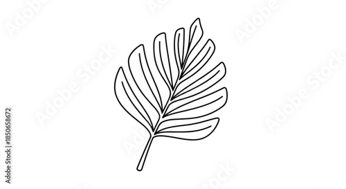 Elegant line art drawing of a single monstera leaf with its characteristic holes and splits ideal for modern botanical decor.