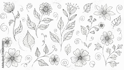 Collection of Hand-Drawn Botanical Illustrations Featuring Various Flowers and Leaves.