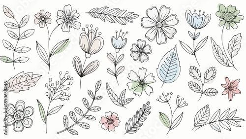 Collection of Hand Drawn Botanical Elements and Flowers.