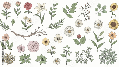 Collection of Hand-Drawn Botanical Illustrations Featuring Flowers and Leaves.