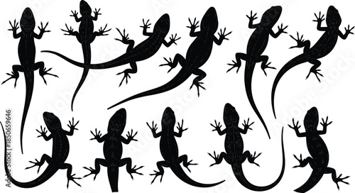 Set of 11 realistic lizard and gecko silhouette icons featuring various crawling and climbing poses for nature branding reptile education and wildlife graphic design