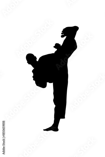 Silhouette of a Male Martial Arts Expert delivering a high front kick with excellent balance, captured on an isolated white background.
