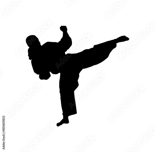 Energetic Silhouette of a Male Martial Arts Athlete performing a dynamic roundhouse kick, demonstrating strength and skill on an isolated white background.