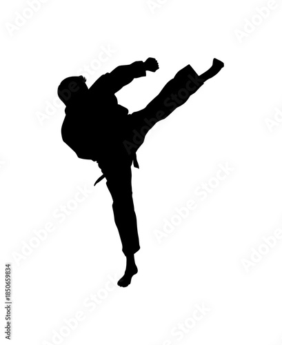 Silhouette of a Male Martial Arts Fighter executing a powerful high side kick, showcasing agility and precision on an isolated white background.
